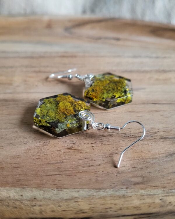 naušnice od epoksi smole i lišaja
